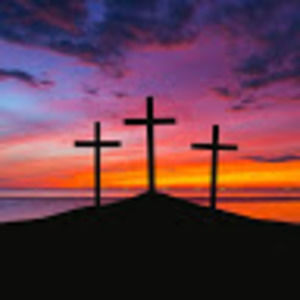 Meet your Posher, Esther